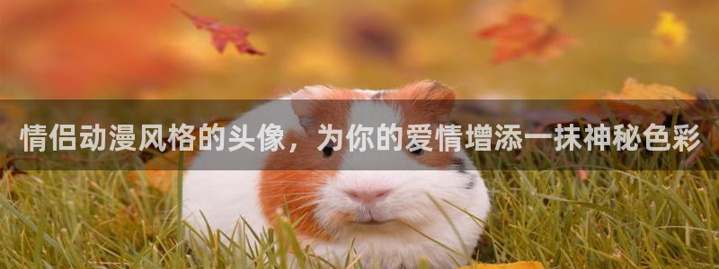 omofun动画网：情侣动漫风格的头像，为你的爱情增添一抹神秘色彩