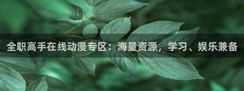 下载omofun动漫：全职高手在线动漫专区：海量资源，学习、娱乐兼备
