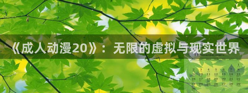 age动漫omofun：《成人动漫20》：无限的虚拟与现实世界
