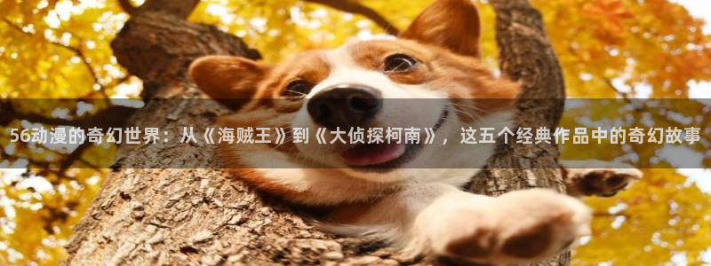 onfun动漫官网：56动漫的奇幻世界：从《海贼王》到《大侦探柯南》，这五个经典作品中的奇幻故事