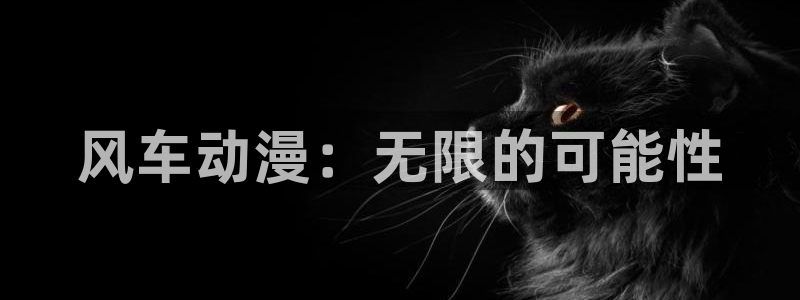 omofun动漫在线观看看：风车动漫：无限的可能性
